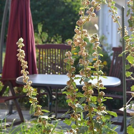 Villa Feriendomizil-Usetom Uckeritz Esterno foto